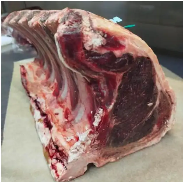Côte de bœuf maturée, entière, avant découpe
