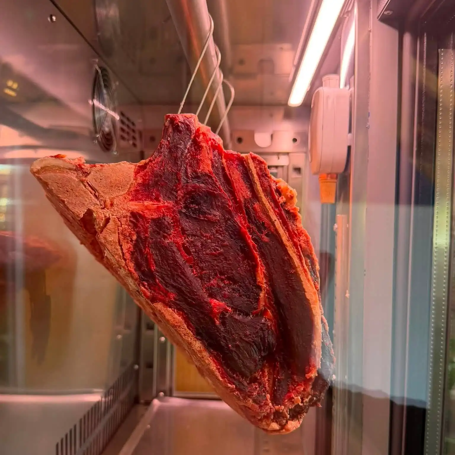 Pièce de bœuf en cours de maturation dans son armoire vitrée